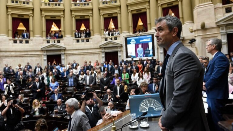 Martín Menem no descartó una alianza legislativa con el PRO pero aclaró que aguarda la decisión de Javier Milei Martín Menem no descartó una alianza legislativa con el PRO pero aclaró que aguarda la decisión de Javier Milei