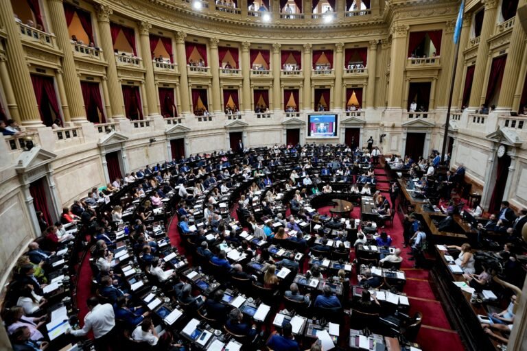 Qué es un DNU y cómo funcionan los decretos en la Argentina