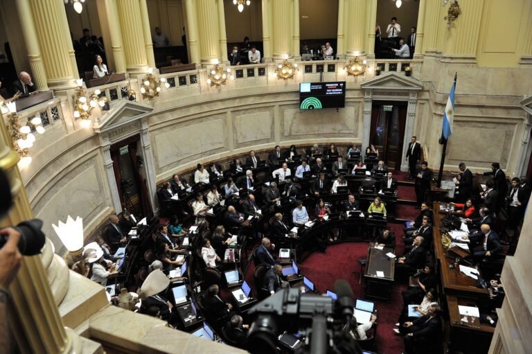 Sin estrategia clara ni acuerdos con ex aliados, el Gobierno enfrenta un desafío bisagra en el Senado Sin estrategia clara ni acuerdos con ex aliados, el Gobierno enfrenta un desafío bisagra en el Senado
